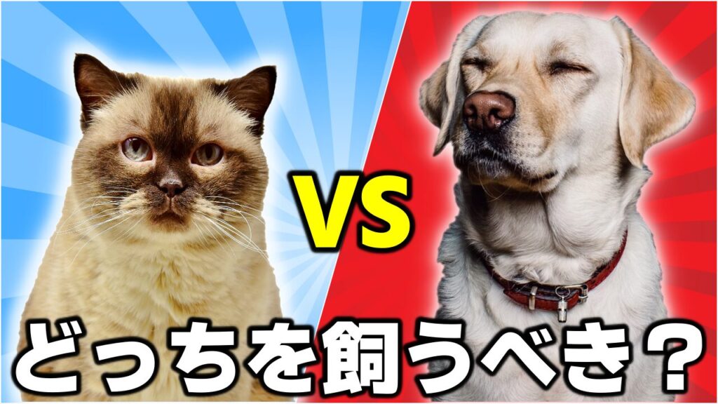 個性がキラリ☆ブサかわな猫の種類9選！鼻ペチャ・つるつる猫の特徴や性格 ねこもよ