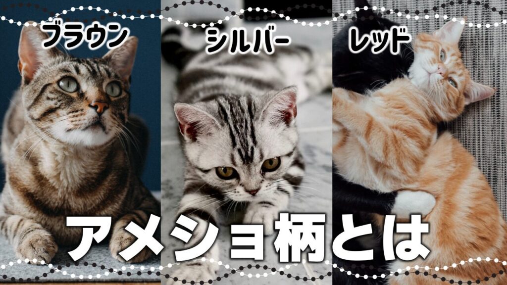 あなたの猫は?猫の毛柄の種類はこんなに多い!【猫の模様・柄の分類と性格】 - *ねこもよ*