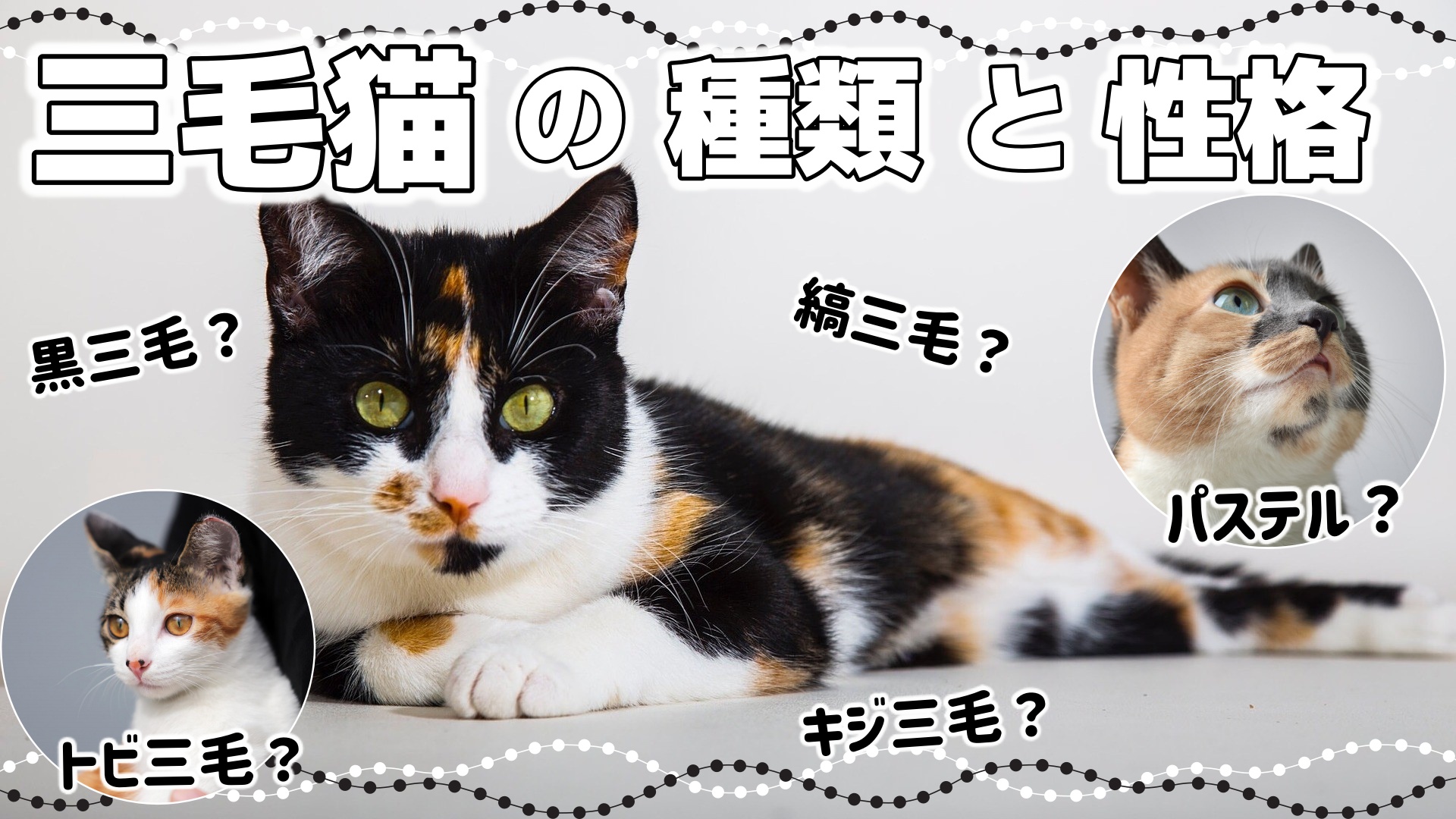 黒い三毛猫様 リクエスト 2点 まとめ商品 【公式通販】